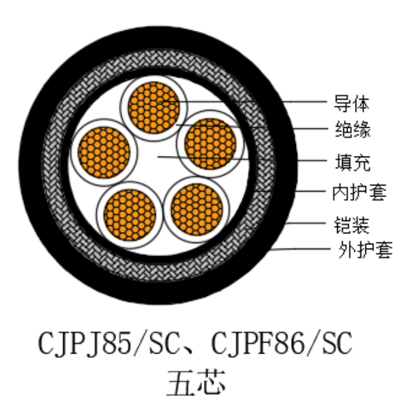 銅芯交聯(lián)聚乙烯絕緣低煙無(wú)鹵船用控制電纜-CKJPJ85/SC-150/250V、CKJPF86/SC-150/250V